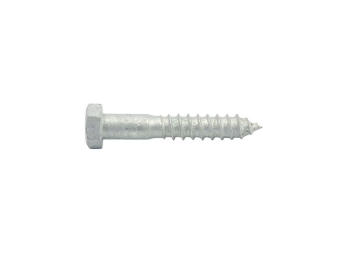 Screws - M12 X 75 Coach screw